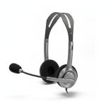 Logitech H110 STEREO Headset (Two port)
